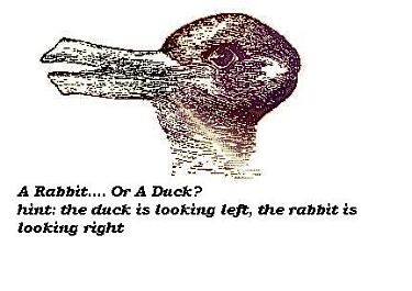 rabbit or duck